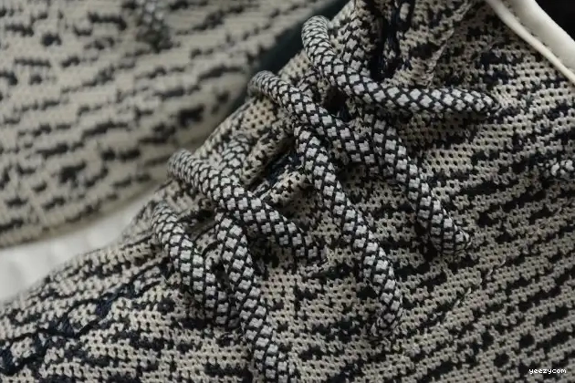 Boost Adidas Turtle 350 AQ4832 YEEZY Dove 0704